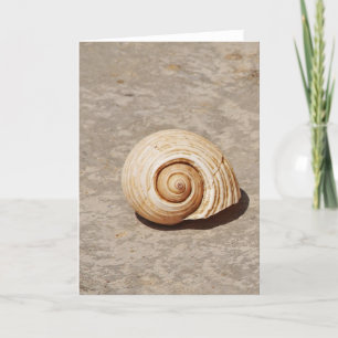 Cartão De Festividades SeaShell