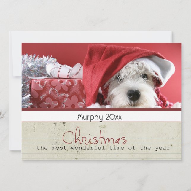 Cartão De Festividades season greeting christmas pet photo cards (Frente)
