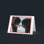 Cartão De Festividades Season's Best....Blank<br><div class="desc">Blank card</div>