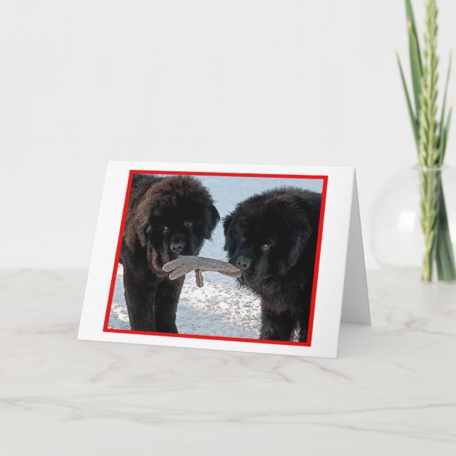 Cartão De Festividades Season's Best....Blank (Frente)