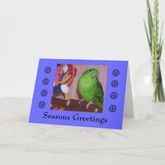 Cartão De Festividades Seasons Greeting - Blank Card