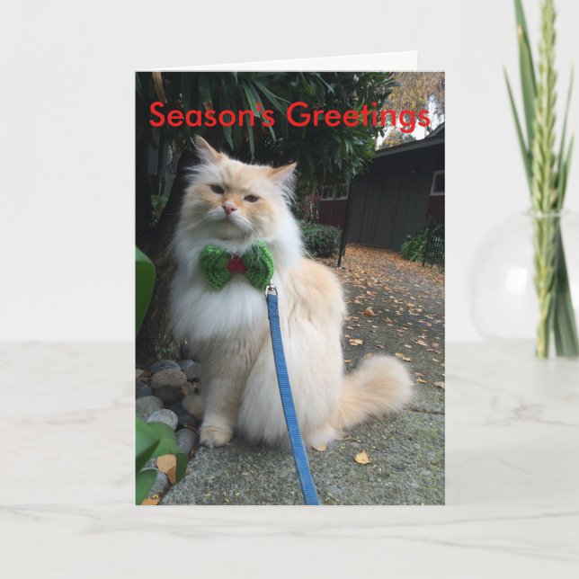 Cartão De Festividades Season's Greetings (Frente)