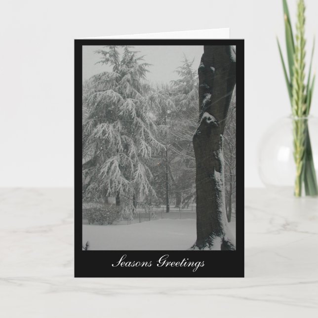 Cartão De Festividades Seasons Greetings (Frente)