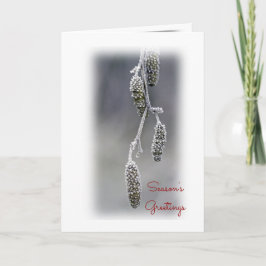 Cartão De Festividades Season's Greetings