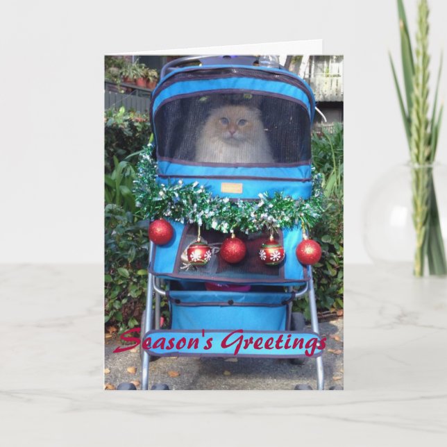 Cartão De Festividades Season's Greetings (Frente)