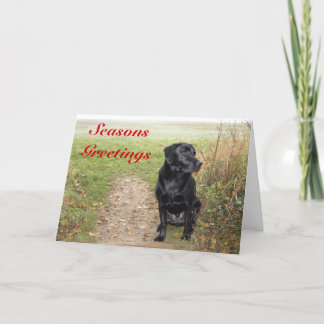 Cartão De Festividades Seasons Greetings - Black Lab