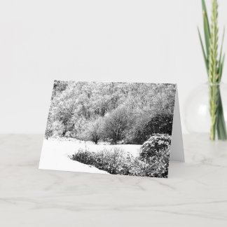 Cartão De Festividades Seasons Greetings Card (non religious)