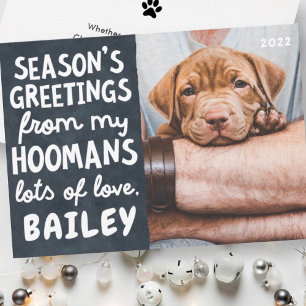 Cartão De Festividades Season's Greetings Funny Modern Pet Custom Photo