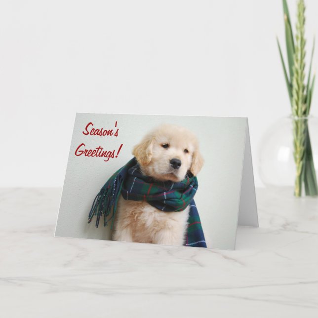 Cartão De Festividades Season's Greetings Holiday Card (Frente)