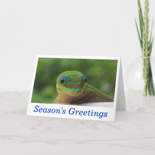 Cartão De Festividades Season's Greetings Holiday Wildlife Cards