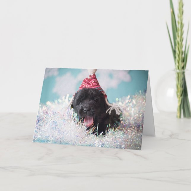 Cartão De Festividades Seasons Greetings Newfie Puppy (Frente)