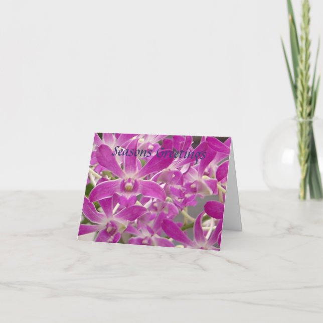 Cartão De Festividades Seasons Greetings Orchids (Frente)