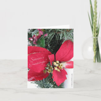 Cartão De Festividades Season's Greetings Poinsettia Card