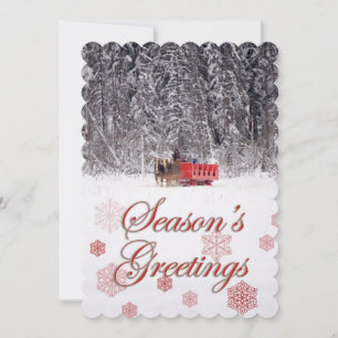 Cartão De Festividades Season's Greetings - Sleigh rides at Stables