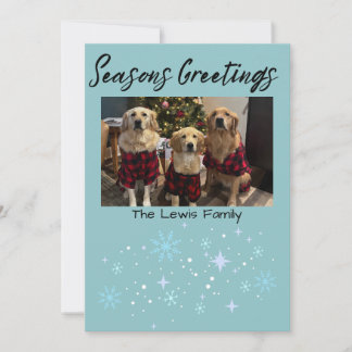 Cartão De Festividades Seasons Greetings Snowflake Photo Card