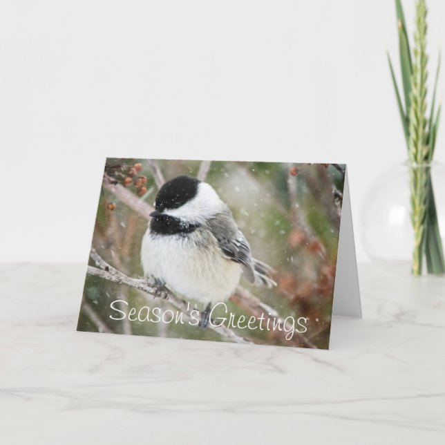 Cartão De Festividades Season's Greetings Snowy Chickadee (Frente)