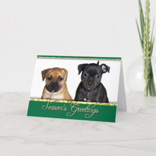 Cartão De Festividades Season's greetings Staffordshire bull terrier card