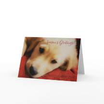 Season's Greetings Winston Holiday Greeting Card
