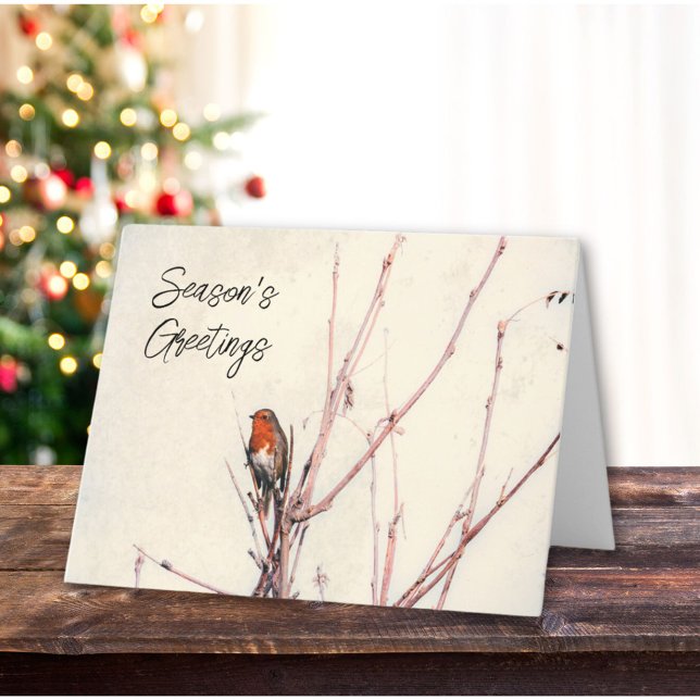 Cartão De Festividades Seasons saúda o inglês Robin personalizado (Criador carregado)
