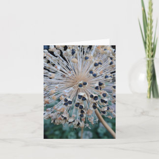 Cartão De Festividades Seed Pod Explosion Blank Card