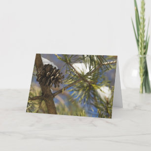 Cartão De Festividades Seeds of the Evergreen