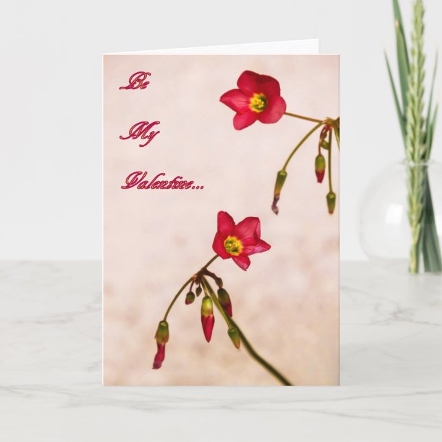 Cartão De Festividades Seja meu Namorados (Frente)