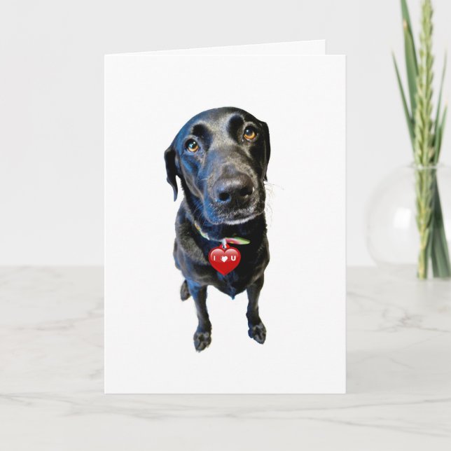 Cartão De Festividades Seja meu Namorados (Frente)