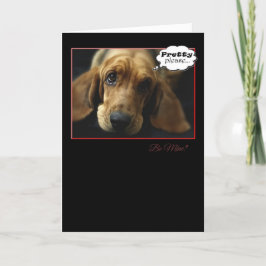 Cartão De Festividades Seja Minha Placa Hound De Base De Namorados