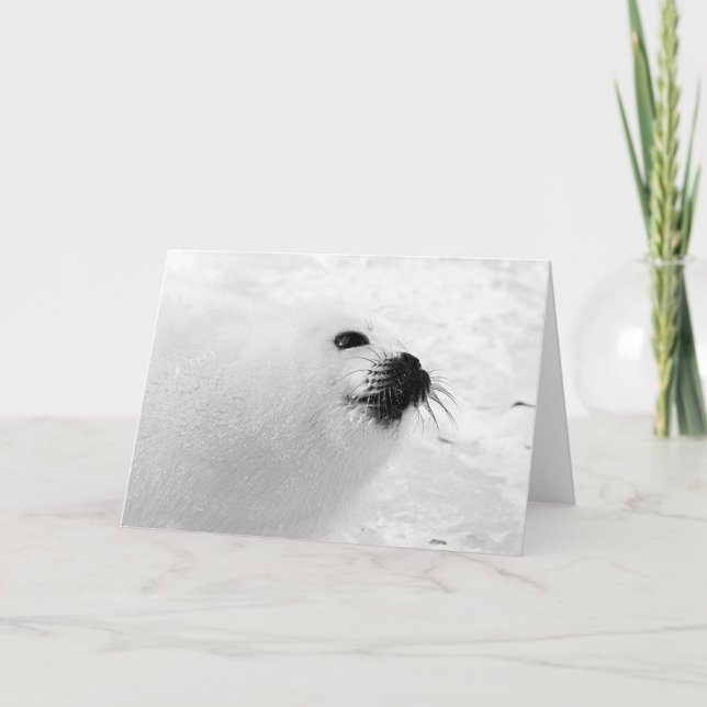 Cartão De Festividades Selo branco (Frente)