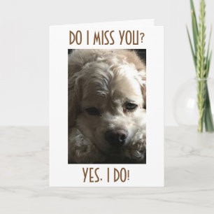 CARTÃO DE FESTIVIDADES SENHORA VOCÊ TODO O ANO ATRAVÉS, MAS A MAIOR PARTE