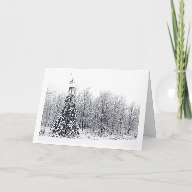 Cartão De Festividades separação com certeza (Frente)