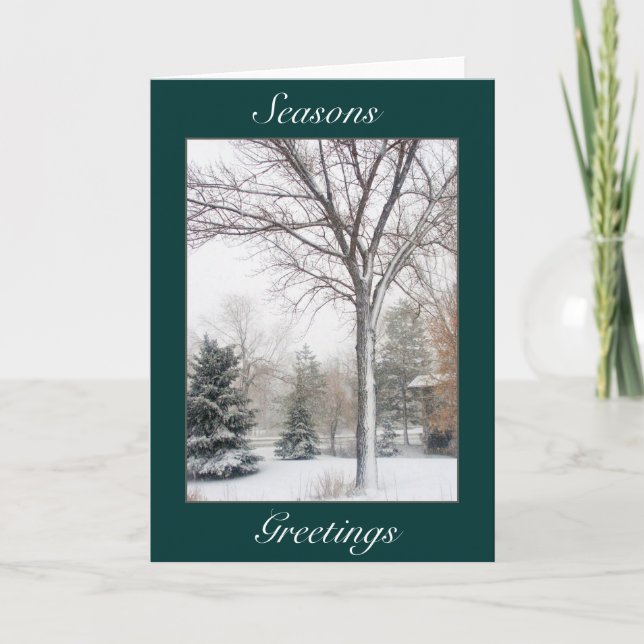 Cartão De Festividades Serenity in the Blizzard (Frente)