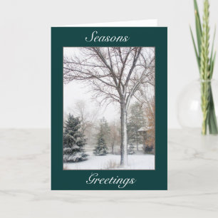 Cartão De Festividades Serenity in the Blizzard