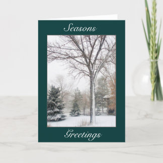 Cartão De Festividades Serenity in the Blizzard