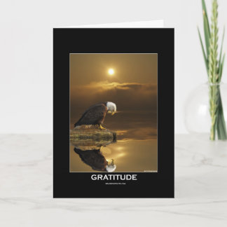 Cartão De Festividades Série Bald Eagle GRATITUDE