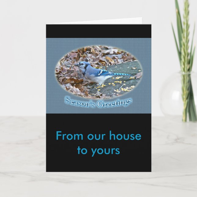 Cartão De Festividades Série de Saudações da Estação Azul Jay (Frente)