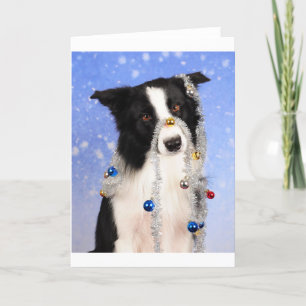 Cartão De Festividades Sério?