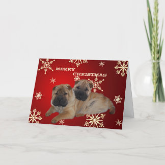 Cartão De Festividades Shar Pei Puppies Snowflake card