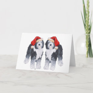 Cartão De Festividades Sheepdog Santa Hat