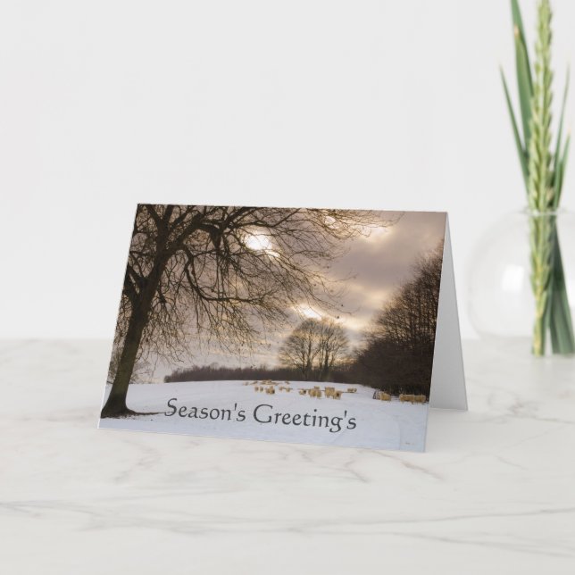 Cartão De Festividades Sheeps (Frente)