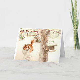 Cartão De Festividades Sheltie Chasing Squirrel Christmas Card