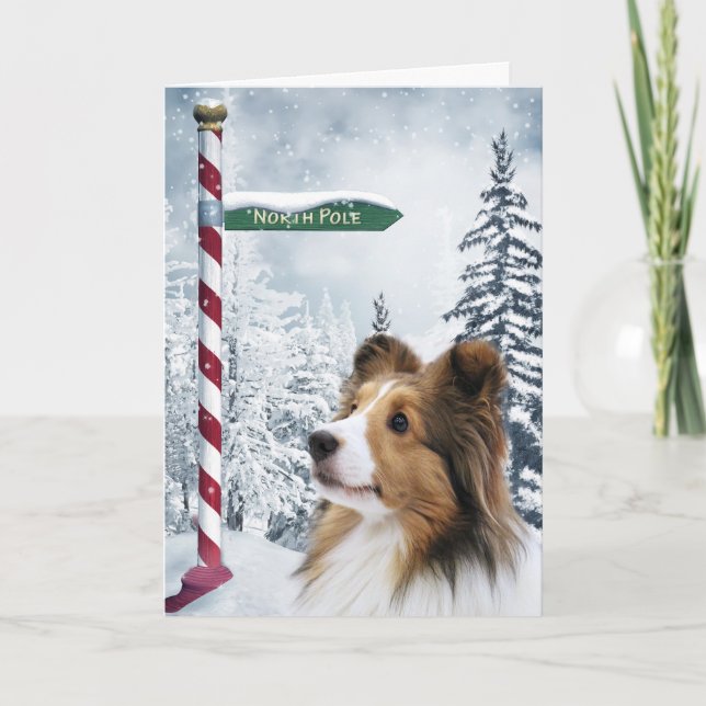 Cartão De Festividades Sheltie Christmas (Frente)