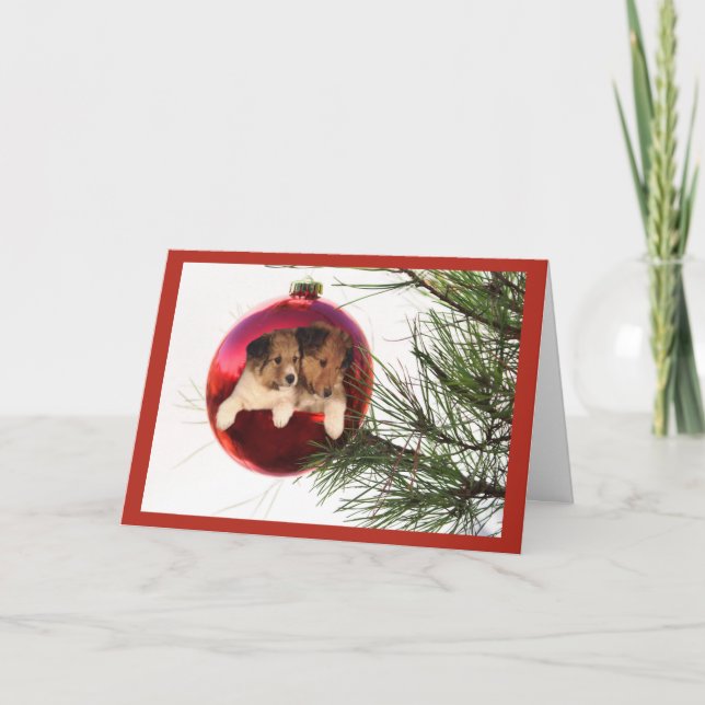 Cartão De Festividades Sheltie Christmas Card Ball Hang (Frente)