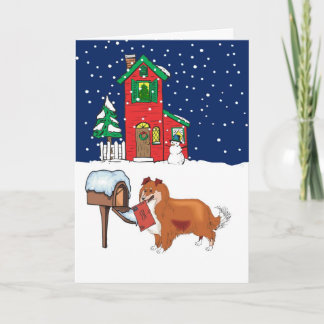 Cartão De Festividades Sheltie Christmas Mail