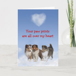 Cartão De Festividades Sheltie Puppy Love Card