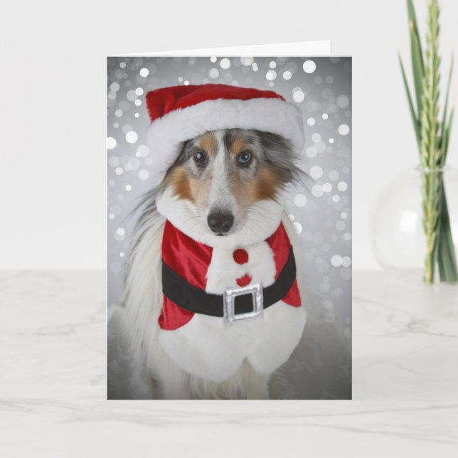 Cartão De Festividades Sheltie Santa Clause (Frente)
