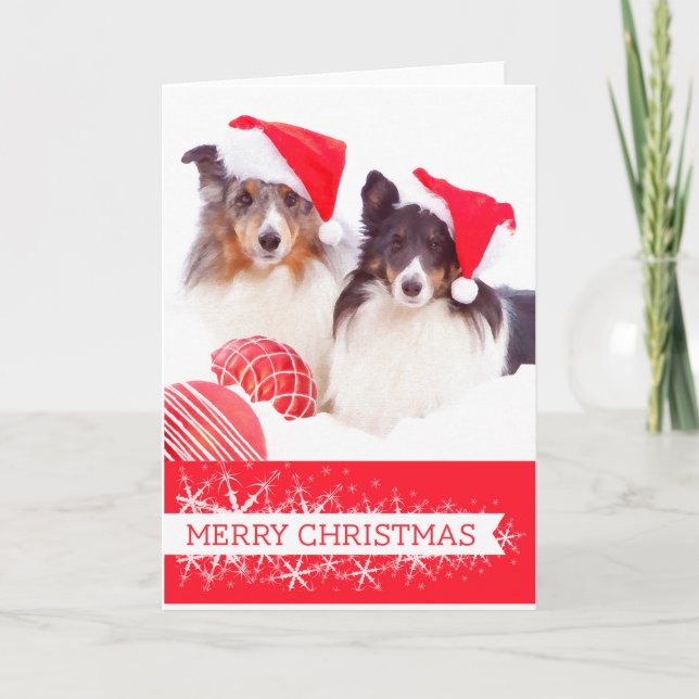 Cartão De Festividades Shetland Sheepdog Christmas Greeting Card (Frente)