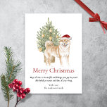Cartão De Festividades Shiba Inu e Cão de Pet da Árvore de Natal<br><div class="desc">Este adorável cartão de Natal Shiba Inu apresenta uma Shiba vestindo um chapéu de Papai Noel sentado em frente a uma árvore de Natal iluminada. A saudação no cartão diz "Feliz Natal" "Que tudo isso seja bonito e que te traga alegria para ser seu neste feriado e durar todo o...</div>
