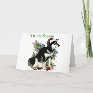 Cartão De Festividades Shiba Inu ‘Tis
