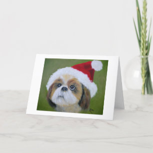Cartão De Festividades Shih Tsu Christmas cards
